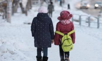 Двух девочек железобетонная кондуктор высадила в Вологде из автобуса на мороз - vologda-poisk.ru - Вологда