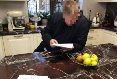 Ирина Венедиктова - Нардепу вручили подозрение за неуплату налогов от перепродажи квартир - kp.ua