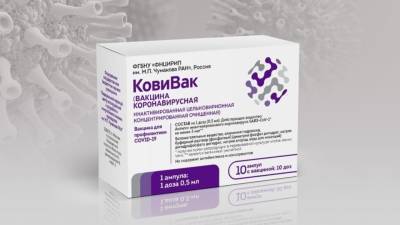 Валерий Фальков - Минобрнауки РФ объявило о выходе вакцины "КовиВак" в гражданский оборот - polit.info
