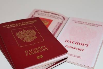 Эльдар Муртазин - У брянцев хотят запрашивать паспорт для регистрации в соцсетях - mk.ru