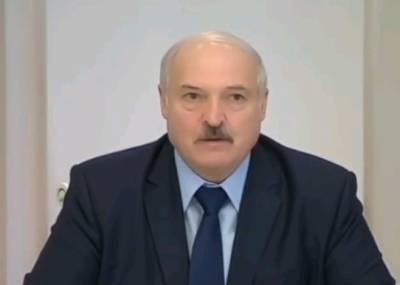 Александр Лукашенко - Андрей Суздальцев - Андрей Суздальцев: Александр Лукашенко преднамеренно распускает информацию о вводе армии РФ в страну - actualnews.org - Москва - Афганистан