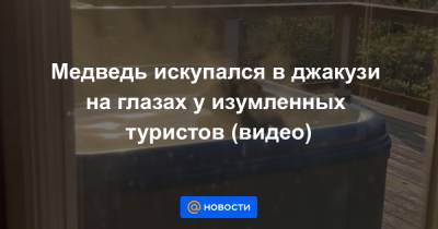 Екатерина Гура - Медведь искупался в джакузи на глазах у изумленных туристов (видео) - news.mail.ru - штат Теннесси - шт. Джорджия