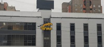 Арестованный хозяин торгового центра "Ягуар" в Петрозаводске написал явку с повинной - stolicaonego.ru - Петрозаводск