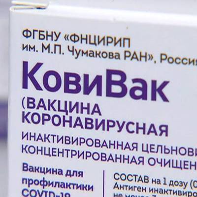 Валерий Фальков - Глава Минобрнауки Валерий Фальков дал старт производству вакцины "КовиВак" - radiomayak.ru