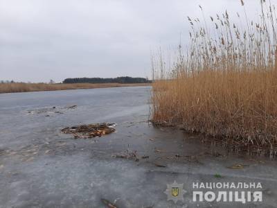 Под Харьковом школьник утонул, спасая собаку - news.bigmir.net - Киев - Харьковская обл. - Харьков - район Купянский