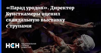 Александр Бастрыкин - «Парад уродов». Директор Кунсткамеры оценил скандальную выставку с трупами - nsn.fm - Москва - Санкт-Петербург