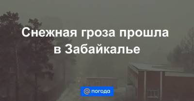 Снежная гроза прошла в Забайкалье - news.mail.ru - Забайкальский край - Чита