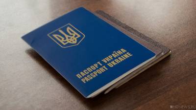 Владимир Зеленский - Спрос на украинское гражданство в мире упал в четыре раза - newdaynews.ru - Сирия - Ирак - Афганистан - Ливан