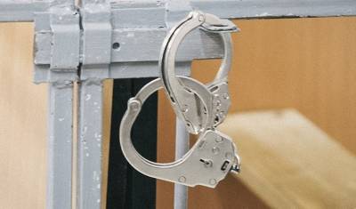 Похитителей генерала ФСБ, отдавшего им пять миллионов долларов, осудили на девять лет - newizv.ru - Москва - Московская обл. - район Одинцовский