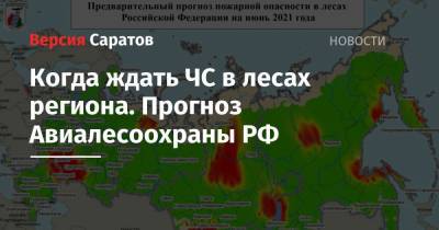 Когда ждать ЧС в лесах региона. Прогноз Авиалесоохраны РФ - nversia.ru - Саратовская обл.