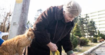 "Мой маленький, мой золотой": одинокая старушка из Отрадного 12 лет тратит пенсию на бездомных котов - klops.ru