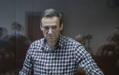 Алексей Навальный - Ольга Михайлова - Навальный - Навальный находится в тяжелом состоянии, - адвокаты - news.bigmir.net - Москва