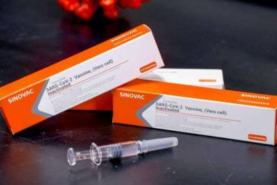 Максим Степанов - Первая партия вакцины CoronaVac уже прибыла Украину - lenta.ua - Киев - Турция - Мексика - Бразилия - Малайзия - Таиланд - Чили - Индонезия - Борисполь