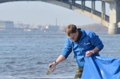 Роман Абрамовский - Украинцы могут остаться без питьевой воды: Днепр превращается в болото - from-ua.com