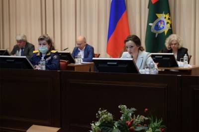 Анна Кузнецова - В России планируют создавать позитивный контент для несовершеннолетних – Учительская газета - ug.ru - Омбудсмен