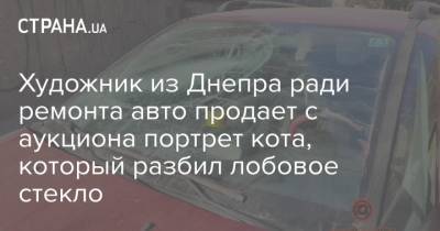 Художник из Днепра ради ремонта авто продает с аукциона портрет кота, который разбил лобовое стекло - strana.ua