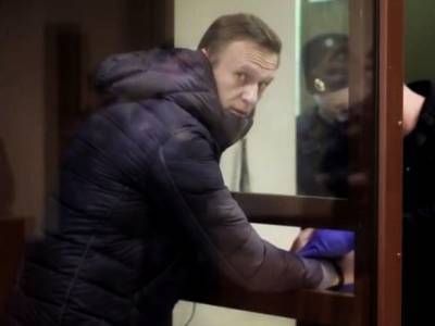 Алексей Навальный - Ольга Михайлова - Вадим Кобзев - Адвокат Навального объяснила, чем политику грозит выговор за нарушение режима колонии - rosbalt.ru