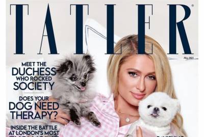Пэрис Хилтон - Пэрис Хилтон и ее собаки стали звездами обложки Tatler - kp.ua - Лос-Анджелес - шт. Калифорния