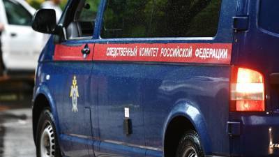СК организовал проверку по факту крушения вертолёта под Калининградом - russian.rt.com - Калининград - Калининградская обл. - Полесск
