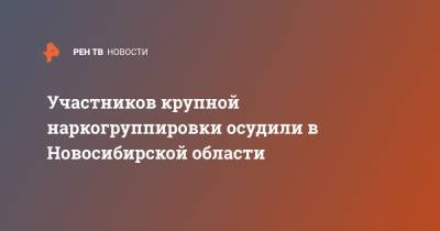 Алексей Попов - Участников крупной наркогруппировки осудили в Новосибирской области - ren.tv - респ. Чувашия - Новосибирская обл.