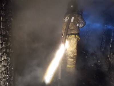 В Челябинской области на двух пожарах погибли три человека, еще трое пострадали - znak.com - Челябинская обл. - район Еткульский