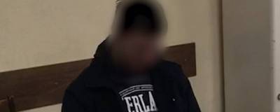 В Удмуртии арестовали признавшегося в убийстве 11-летнего ребенка - runews24.ru - респ. Удмуртия - Сарапул