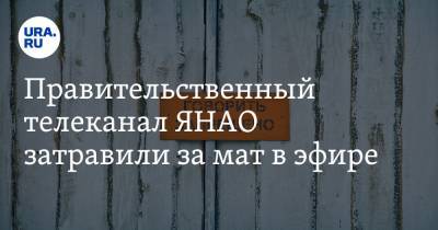 Правительственный телеканал ЯНАО затравили за мат в эфире - ura.news - окр. Янао