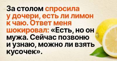 Раздельный бюджет молодой семьи на примере очень кислого лимона - skuke.net