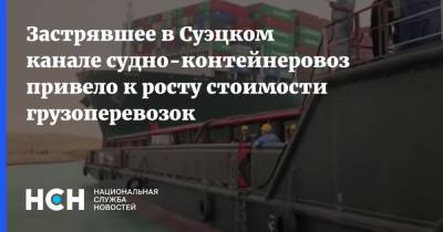 Застрявшее в Суэцком канале судно-контейнеровоз привело к росту стоимости грузоперевозок - nsn.fm - Голландия