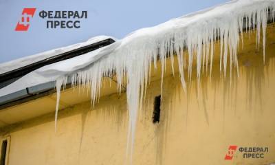 В Новосибирске нашли возможных виновников падения глыбы льда на подростка - fedpress.ru - Новосибирск