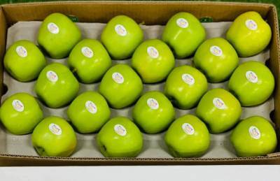 Украинские яблоки поехали в Сомали - agroportal.ua - Малайзия - Сингапур - Сомали - Могадишо