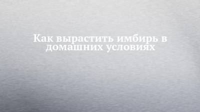 Как вырастить имбирь в домашних условиях - chelny-izvest.ru