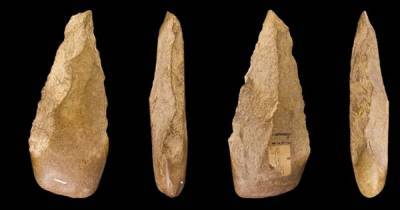 Еще до большого пальца. Предки человека взяли в руки каменные орудия 2,6 млн лет назад - focus.ua