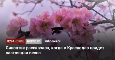 Синоптик рассказала, когда в Краснодар придет настоящая весна - kubnews.ru - Краснодарский край - Краснодар