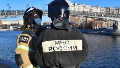 Спасатели вытащили из ледяной воды женщину и ее собаку на Москве-реке - m24.ru - Москва