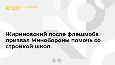 Владимир Жириновский - Жириновский после флешмоба призвал Минобороны помочь со стройкой школ - realty.ria.ru - Москва - Казань