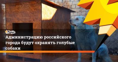 Иван Носков - Администрацию российского города будут охранять голубые собаки - ridus.ru - Дзержинск - Нижегородская обл. - Нижний Новгород