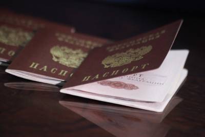 Антон Цветков - Эксперт назвал подарком проект по изменению российского паспорта - vm.ru - Москва