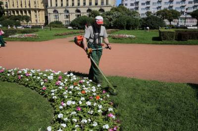Клумбы Петербурга оформят в стиле Года науки и технологий - neva.today - Санкт-Петербург - Благоустройство