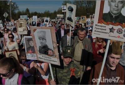Объявлен набор волонтеров на Бессмертный полк в режиме онлайн-шествия - online47.ru - Ленинградская обл.