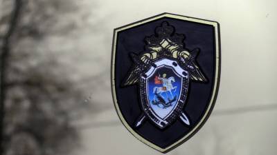 Полиция задержала предполагаемого убийцу 15-летнего школьника в Подмосковье - inforeactor.ru - Московская обл. - район Солнечногорский