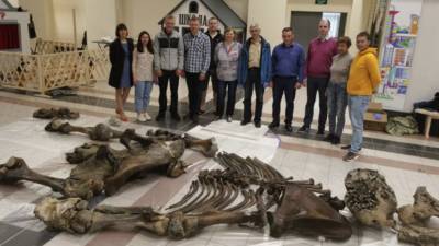 Уральский учёный рассказал о найденных на Ямале останках мамонта - russian.rt.com - Салехард - Ямал