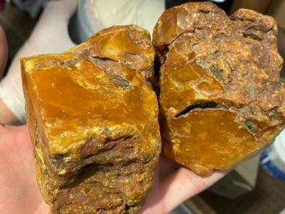 Сотрудники СБУ изъяли несколько партий нелегально добытого янтаря на более чем 11 млн грн - gordonua.com - Украина - Ровенская обл.
