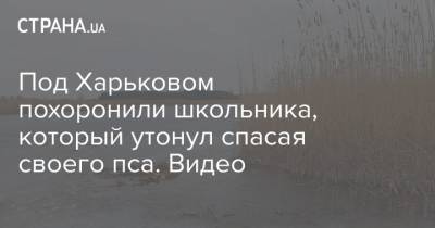 Геннадий Корбан - Под Харьковом похоронили школьника, который утонул спасая своего пса. Видео - strana.ua - Харьковская обл. - Харьков - Черкасская обл.