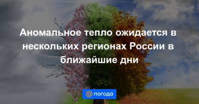 Аномальное тепло ожидается в нескольких регионах России в ближайшие дни - news.mail.ru - Москва - Иркутская обл. - Ленинградская обл. - Санкт-Петербург - ЦФО - Амурская обл. - Хабаровский край - Якутск