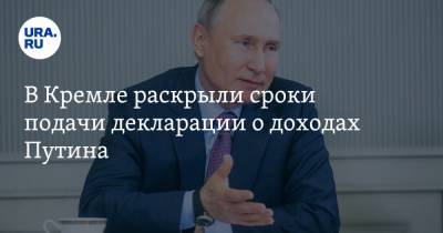 Владимир Путин - Дмитрий Песков - Владимир Жириновский - В Кремле раскрыли сроки подачи декларации о доходах Путина - ura.news