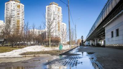 Роман Вильфанд - Тепло и малооблачно: синоптики рассказали о погоде в Москве и области - mir24.tv - Москва - Московская обл.