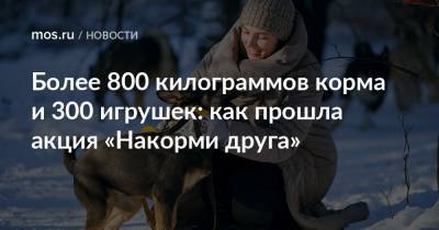 Екатерина Драгунова - Более 800 килограммов корма и 300 игрушек: как прошла акция «Накорми друга» - mos.ru - Москва