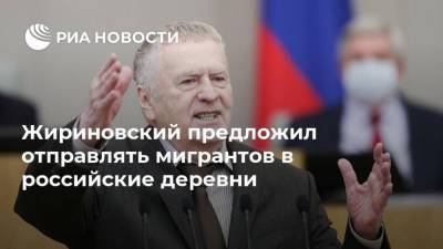 Владимир Жириновский - Жириновский предложил отправлять мигрантов в российские деревни - ria.ru