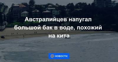 Анна Лысенко - Австралийцев напугал большой бак в воде, похожий на кита - news.mail.ru